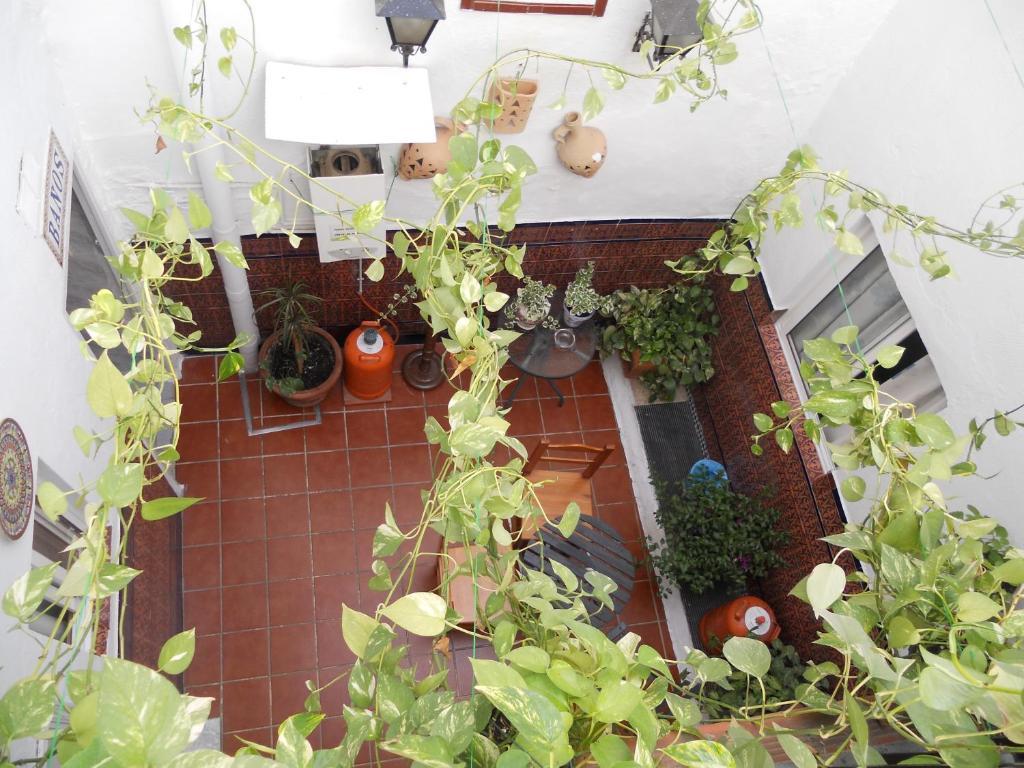Pensión Santa María la Blanca Sevilha Exterior foto